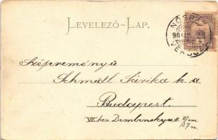 1901 Verőce, Nógrádverőce; utca, Erzsébet lak, villa. Zoller József kiadása (kis szakadás / small te...