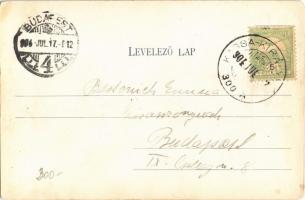 1904 Nagyszalánc, Szalánc, Salanc, Slanec; vár. Nagy-Szalánczi Fogyasztási Szövetkezet kiadása / Sla...