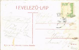 Nezsider, Neusiedl am See; Kijárat a Fertő fürdőhöz a tónál, csónakok. W.L. Bp. 7493. Horváth J. kia...