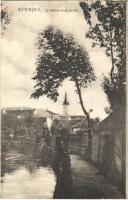 1910 Eperjes, Presov; Malom árok partja. Divald Károly fia / riverside by the mill (Rb)