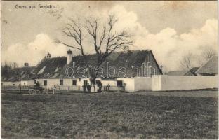 1912 Seebarn, Geschäft Karl Sögner / shop (fl)