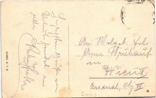 Cesky Tesín, Teschen; Herz Jesu Kirche, Albrechts Allee / church, street (Rb)