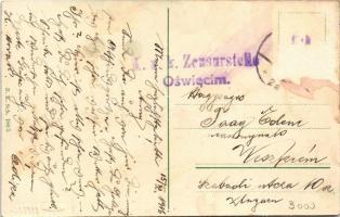 1916 Szczakowa (Jaworzno), Ulica Jagiellonska / street, shop (Rb)