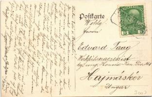 Traismauer, Elektricitätswerk, Martin Miller's Sohn K.k. Landesbefugte Stahlwaren Fabrik / powe...