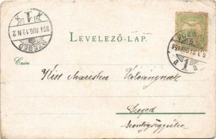 1904 Pozsony, Pressburg, Bratislava; SMS Szamos a Császári és Királyi Haditengerészet monitorja. Dun...