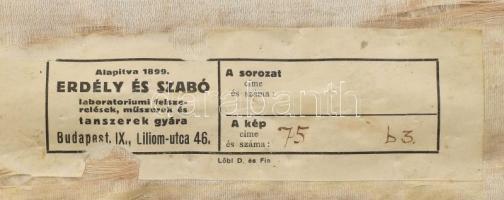 Drágakő csiszolásához csiszolásminták (üveg), eredeti sérült dobozban. 21x10x3,5cm