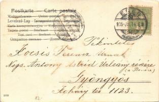 1905 Lady with cats. litho (fl)