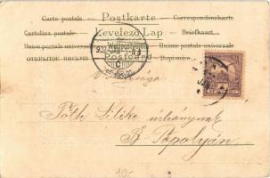 1902 Girl with cat. E.S.D. Serie 8062. litho (EK)