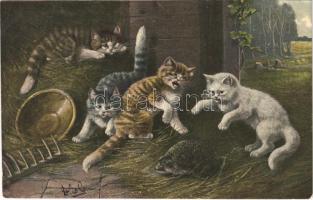 1903 Cats with hedgehog. P.M. & Co. Series 4237.