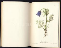 1842 Kubinyi Ágoston Magyarországi mérges növények című igen ritka kézzel színezett növényhatározója