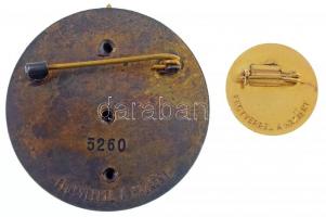 1954. "Magyar Partizán Emlékérem" zománcozott, számozott Br kitüntető jelvény, hátoldalon ...