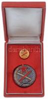 1954. "Magyar Partizán Emlékérem" zománcozott, számozott Br kitüntető jelvény, hátoldalon ...
