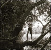 cca 1990 Menesdorfer Lajos (1941-2005) budapesti fotóművész hagyatékából, 9 db vintage NEGATÍV aktmo...