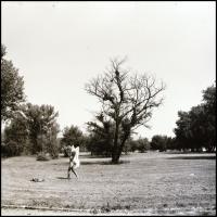 Menesdorfer Lajos (1941-2005) budapesti fotóművész hagyatékából, 13 db vintage NEGATÍV vegyes témákr...