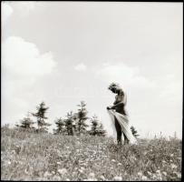 Menesdorfer Lajos (1941-2005) budapesti fotóművész hagyatékából, 13 db vintage NEGATÍV vegyes témákr...