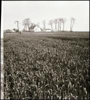 Menesdorfer Lajos (1941-2005) budapesti fotóművész hagyatékából, 13 db vintage NEGATÍV vegyes témákr...