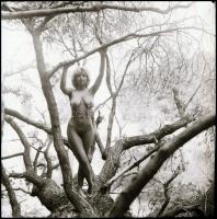 Válogatás a javából, Menesdorfer Lajos (1941-2005) budapesti fotóművész hagyatékából, 13 db vintage ...