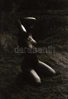 A nők imádata, több fotómodell közreműködésével különböző időpontokban készült aktfelvételek, 12 db ...