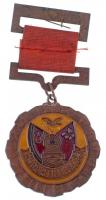 DN Kína Béke bronzozott fém kitüntetés replika, zománcozott, szalaggal (50mm) T:1-