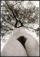 Czakó László (?-?) pécsi fotóművész hagyatékából 13 db vintage DIAPOZITÍV és/vagy NEGATÍV, az aktfel...