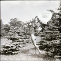 Menesdorfer Lajos (1941-2005) budapesti fotóművész hagyatékából, 7 db vintage NEGATÍV aktmodellekről...