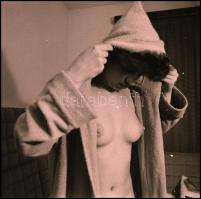 Eltérő időpontokban, különböző helyszíneken, több fotómodell közreműködésével készült akt felvételek...