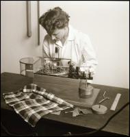 Különböző időpontokban, de általában az 1960-as években készült riport felvételek (galopp verseny, v...