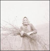 Különböző időpontokban, de általában az 1960-as években készült riport felvételek (galopp verseny, v...