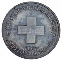DN "Ivánka Imre életműdíj / Magyar Vöröskereszt Pest Megyei Szervezete" ezüstözött Br emlé...