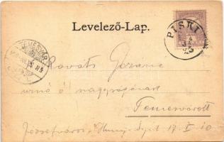 1900 Piski, Simeria; A piski csata (F. Breidwieser festménye után), Bem-szobor, emlékmű. Főző József...