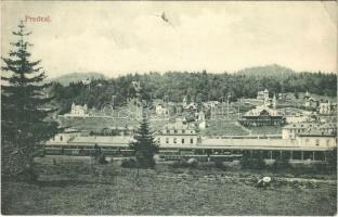 1907 Predeál, Predeal; látkép, vasútállomás, vonat, gőzmozdony, nyaralók / general view with railway station, train, locomotive, villas (fa)