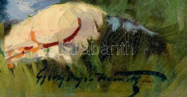 Gyertyáni Németh Gyula (1892-1946): Pihenő hölgy a réten. Olaj, vászon. Jelzett. Restaurált. Dekorat...