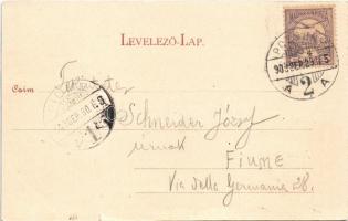 1900 Pozsony, Pressburg, Bratislava; vár / castle (apró szakadás / tiny tear)