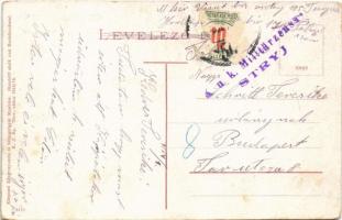 1916 Szolyva, Svalava, Svaljava, Szvaljava, Svaliava; Új gyártelep háttérben a Kárpátokkal / new fac...