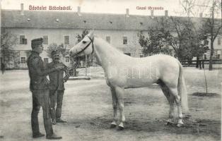 Bábolna Gazal törzsmén