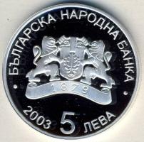 Bulgária 2003. 5L Ag "Labdarúgó VB" T:PP