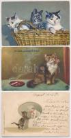 8 db RÉGI motívum képeslap: macskák, közte néhány litho / 8 pre-1945 motive postcards: cats, including some lithos