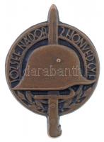 Osztrák-Magyar Monarchia ~1914. József Nádor 2. Honvéd Gyalogezred Br gomlyukjelvény (27x19mm) T:2 Austro-Hungarian Monarchy ~1914. József Palatine 2nd Honved Infantry Regiment Br button badge (27x19mm) C:XF