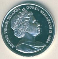 Brit Virgin-szigetek 2004. 10$ Ag "Labdarúgó VB" T:PP