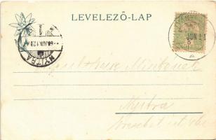 1905 Tátra, Magas Tátra, Vysoké Tatry; A fogaskerekű vasút tájrészlete a Csorbai tóhoz. Feitzinger E...