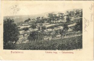 1908 Budakeszi, Kálvária hegy, szőlő. Stern Jakab kiadása (EK)