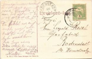 1908 Budakeszi, Kálvária hegy, szőlő. Stern Jakab kiadása (EK)