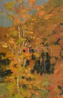 Gál János (1894-1976): Nyári és őszi erdő. Olaj, fa. Egyik jelzett. Korának megfelelő állapotban, ke...