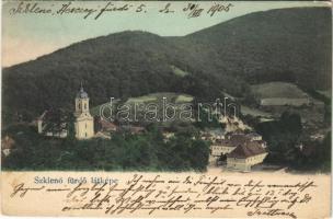 1905 Szklenófürdő, Sklené Teplice; (fa)