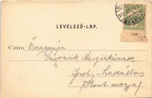 1902 Balassagyarmat, Balassa-Gyarmat; Vármegyeház, Fő utca. Halyák István kiadása