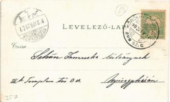 1902 Huszt, Chust; vár és tere. Mermelstein Fülöp kiadása 4127. / castle and square. Floral, litho (...