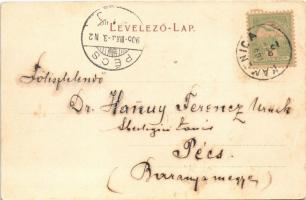 1905 Kamanc, Kamenitz, Sremska Kamenice (Újvidék, Novi Sad); K.u.K. Infanterie-Kadettenschule / Oszt...