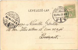 1902 Székesfehérvár, Vörösmarty lakhelye, szülőháza, körhelyisége és szobra (EK)