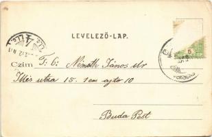 1906 Gyönk, Fő utca, üzlet, Községháza, Közjegyzőlak, Evangélikus templom. Engel József kiadása. Flo...