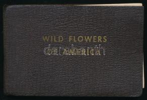 Jane Harvey: Wild flowers of America. Racine. cca 1930. Whitman 96p. Laza egészvászon kötésben fűzés sérült